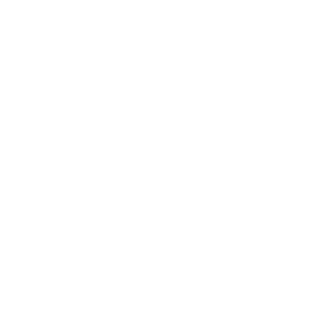 Alex de Witte
