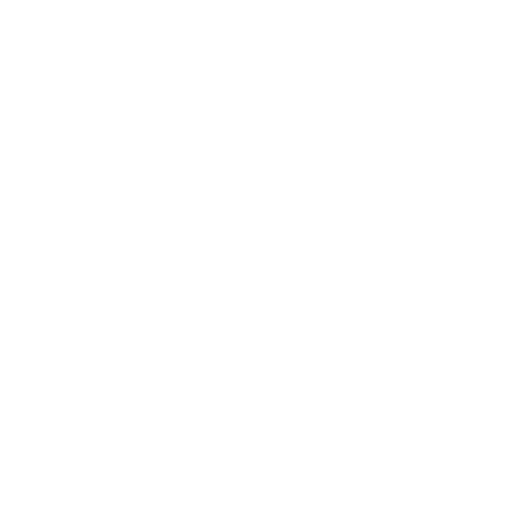 Visual Artist - Sander Dekker